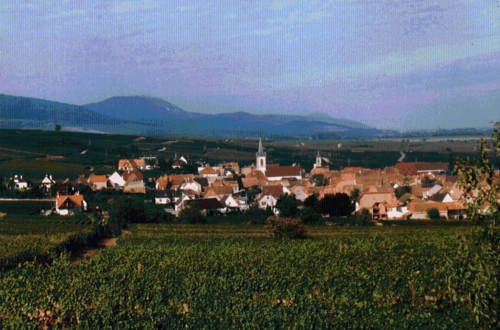 Gite Et Chambres D'Hotes, L'Erable Beblenheim Exterior foto
